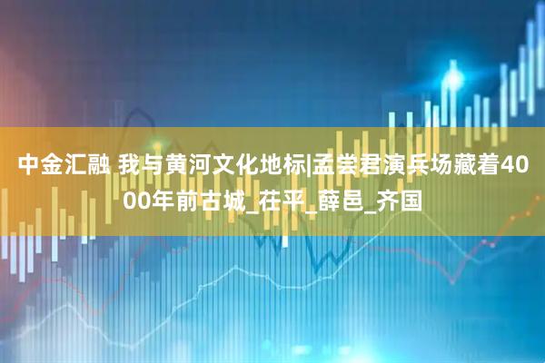 中金汇融 我与黄河文化地标|孟尝君演兵场藏着4000年前古城_茌平_薛邑_齐国
