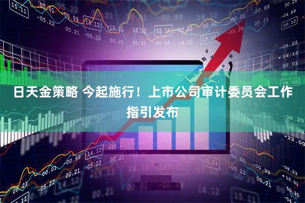 日天金策略 今起施行！上市公司审计委员会工作指引发布