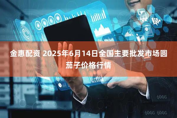 金惠配资 2025年6月14日全国主要批发市场圆茄子价格行情