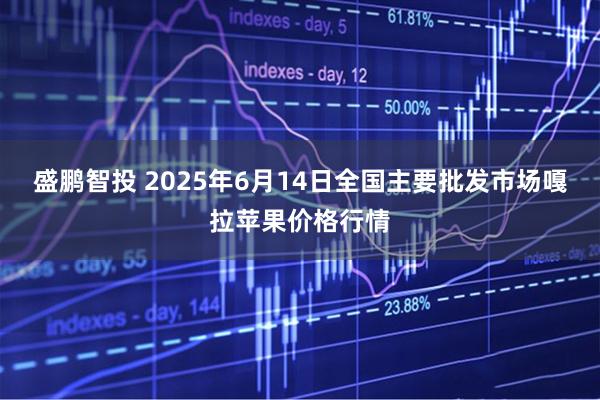 盛鹏智投 2025年6月14日全国主要批发市场嘎拉苹果价格行情