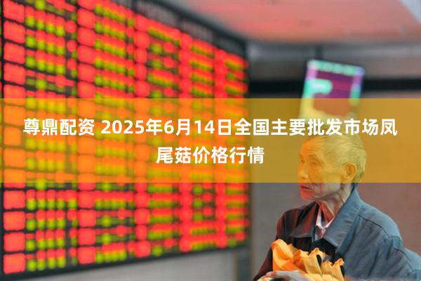 尊鼎配资 2025年6月14日全国主要批发市场凤尾菇价格行情
