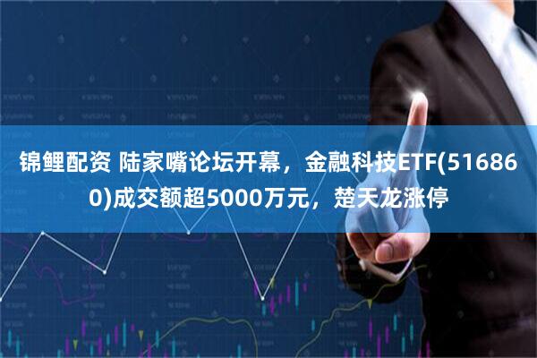 锦鲤配资 陆家嘴论坛开幕，金融科技ETF(516860)成交额超5000万元，楚天龙涨停