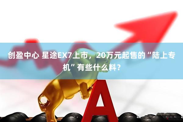 创盈中心 星途EX7上市，20万元起售的“陆上专机”有些什么料？